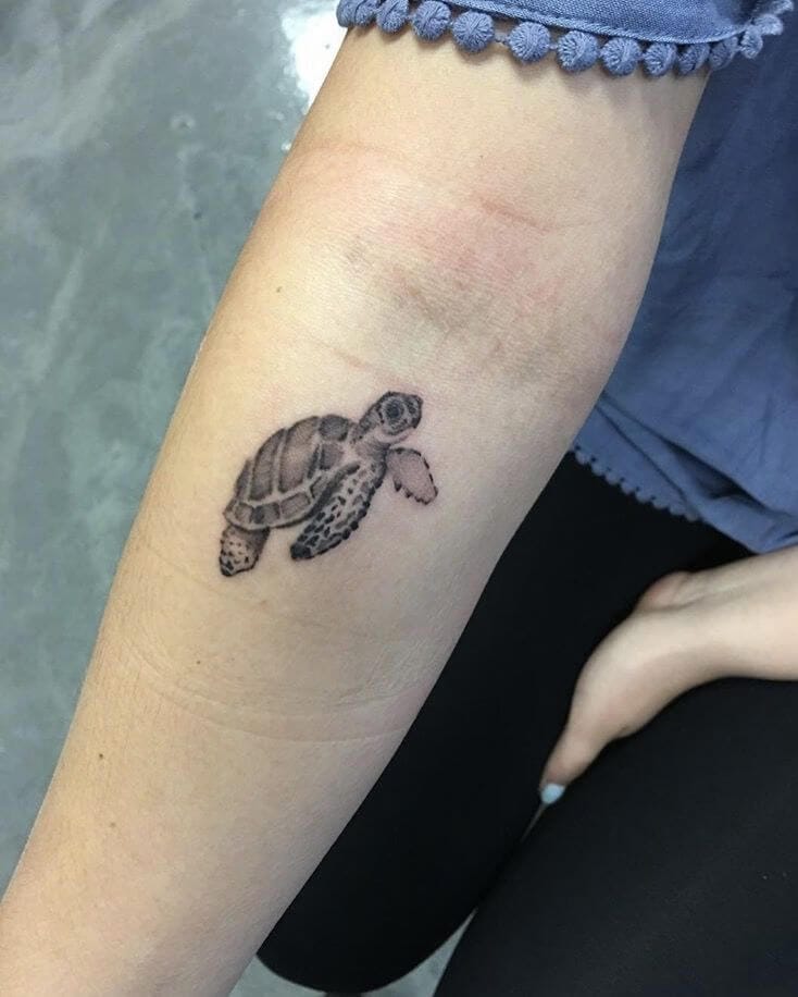 Learn 99+ about turtle tattoo designs latest .vn